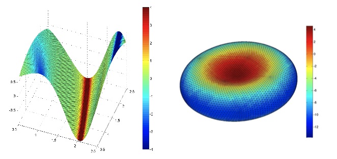 biocurvature